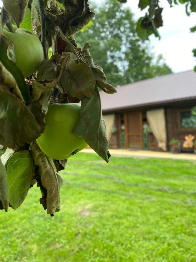 Siedlisko Odpoczynkowo Villa Nowosiolki  Kültér fotó